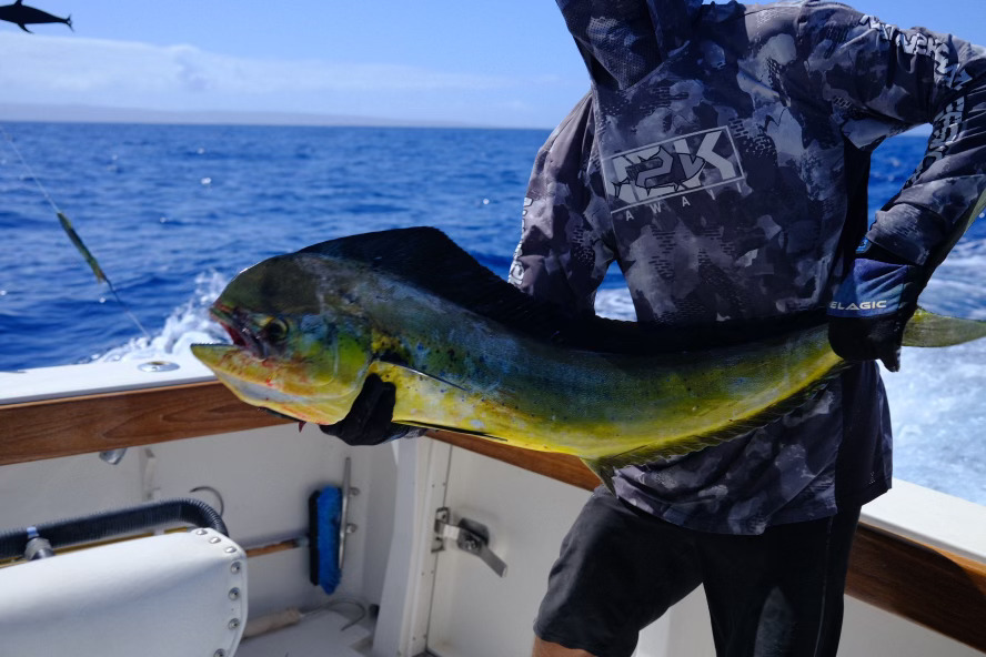 Mahi Keola